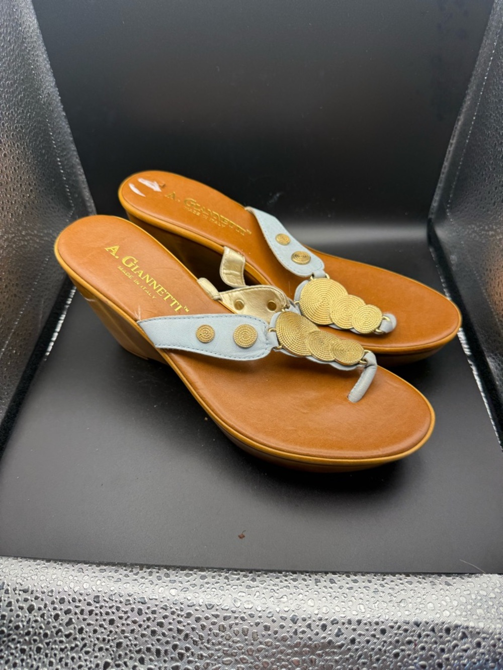 A. Giannetti Light‎ Blue & Tan Wedge Thong Sandals